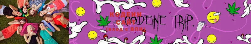 Codein напиток Lean (лин)  цены наркотик  Дигора 